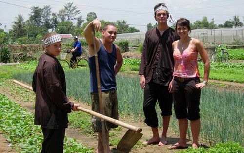 Doing farm work in rural Hoi An  - ảnh 1